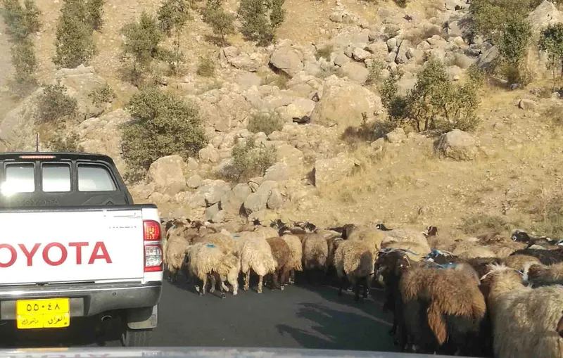Kurdistan in northern Iraq, near Erbil, 2018 (15/20)