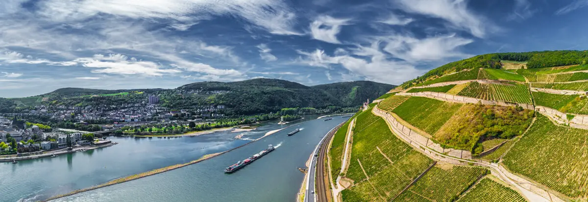 Das Rheintal mit Weinbergen über dem Strom